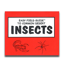 Easy Field Guide to Common Desert Insects