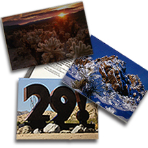 29-group-post-cards-29!-Long