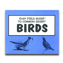 Easy Field Guide to Common Desert Birds