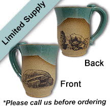 Desert Tortoise Mug