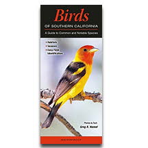 Birds of Southern California