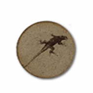 Lizard Pottery magnet