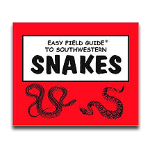 Easy Field Guide to Southwestern Snakes