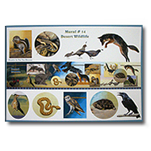Mural Postcard #14 Desert wildlife